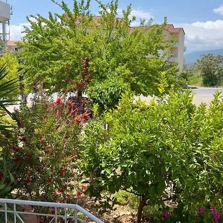 το φιλόξενο σπιτάκι! - The Friendly Nest ! Apartman