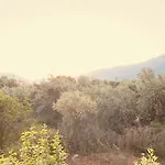 公寓 το φιλόξενο σπιτάκι! - The Friendly Nest ! *