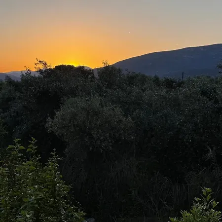 Το Φιλόξενο Σπιτάκι! - The Friendly Nest ! Parálion Ástros