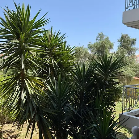 Το Φιλόξενο Σπιτάκι! - The Friendly Nest ! Paralio Astros