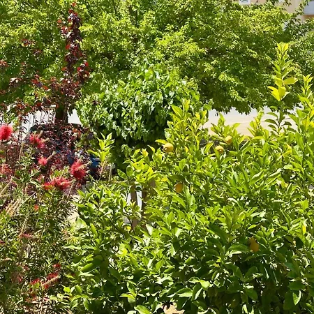 Appartement Το Φιλόξενο Σπιτάκι! - The Friendly Nest ! Parálion Ástros