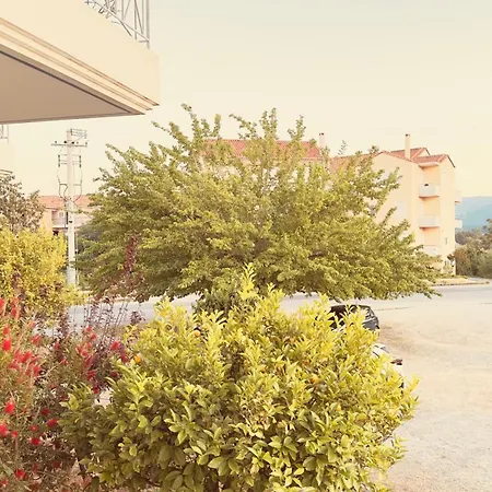 το φιλόξενο σπιτάκι! - The Friendly Nest ! * Parálion Ástros