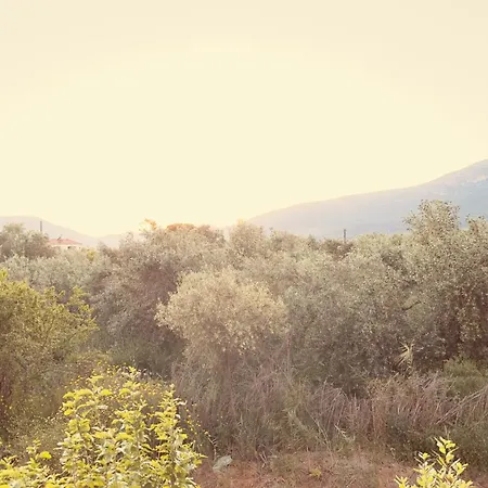 Апартаменты Το Φιλόξενο Σπιτάκι! - The Friendly Nest ! 3*