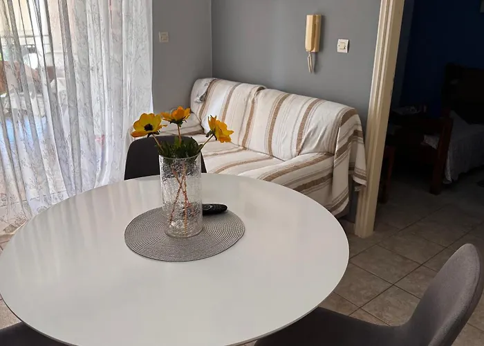 το φιλόξενο σπιτάκι! - The Friendly Nest ! 아파트 Parálion Ástros