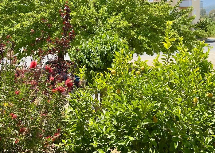 아파트 το φιλόξενο σπιτάκι! - The Friendly Nest ! Parálion Ástros