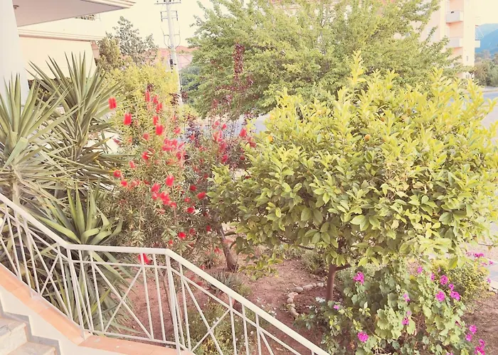 Το Φιλόξενο Σπιτάκι! - The Friendly Nest !