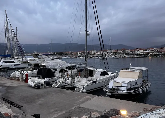 Το Φιλόξενο Σπιτάκι! - The Friendly Nest !