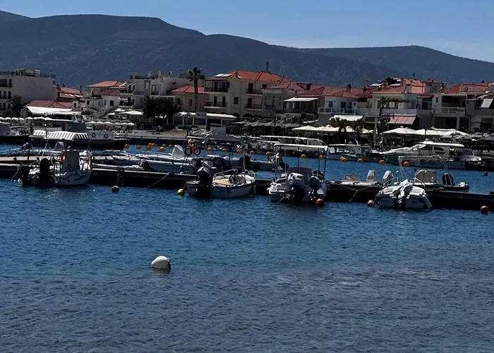 το φιλόξενο σπιτάκι! - The Friendly Nest ! 아파트 *